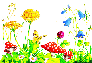 Wandmalerei Blumenwiese